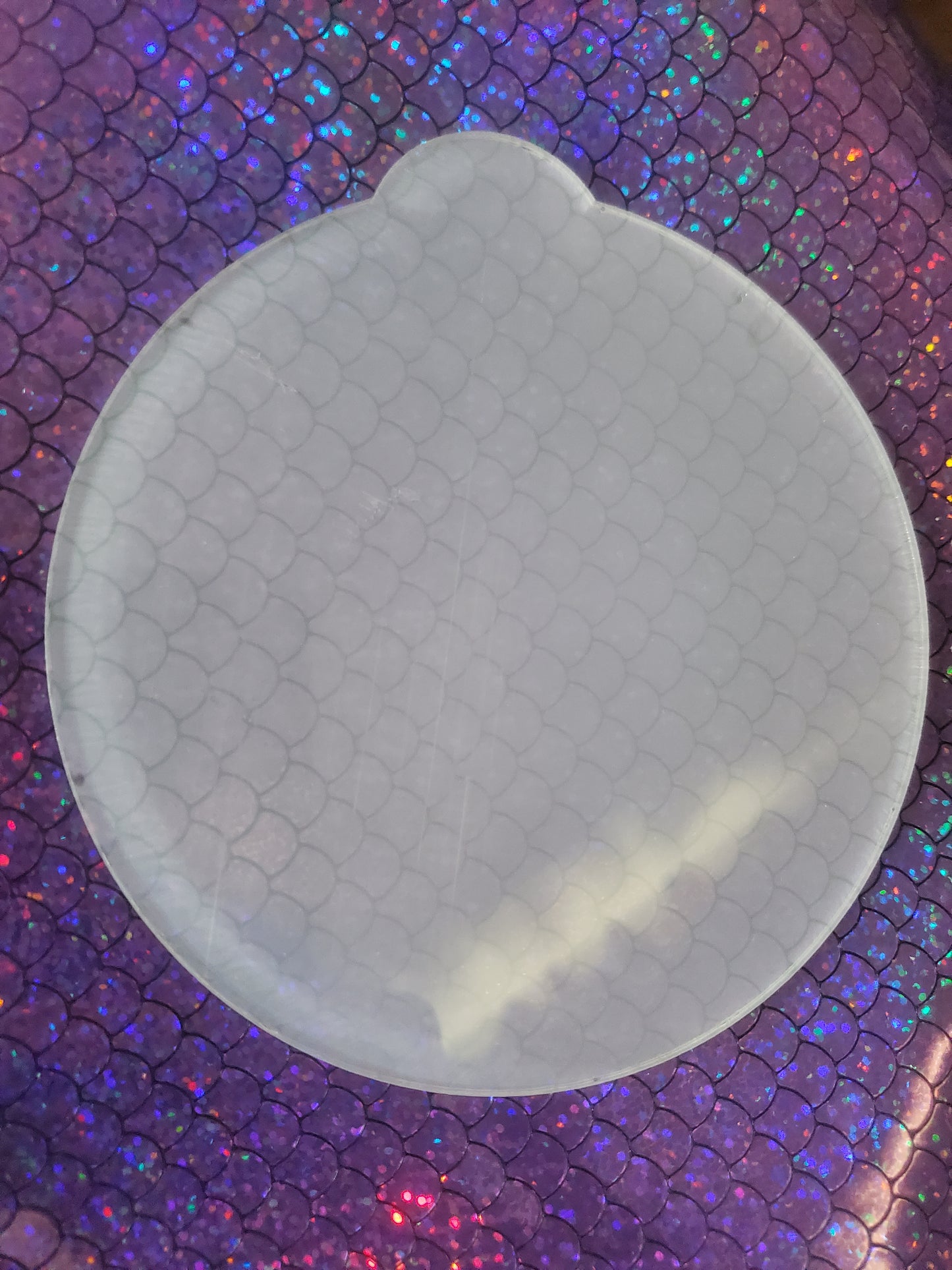 Custom Cut Acrylic Ornament Blanks Up To 4" 500 Pieces