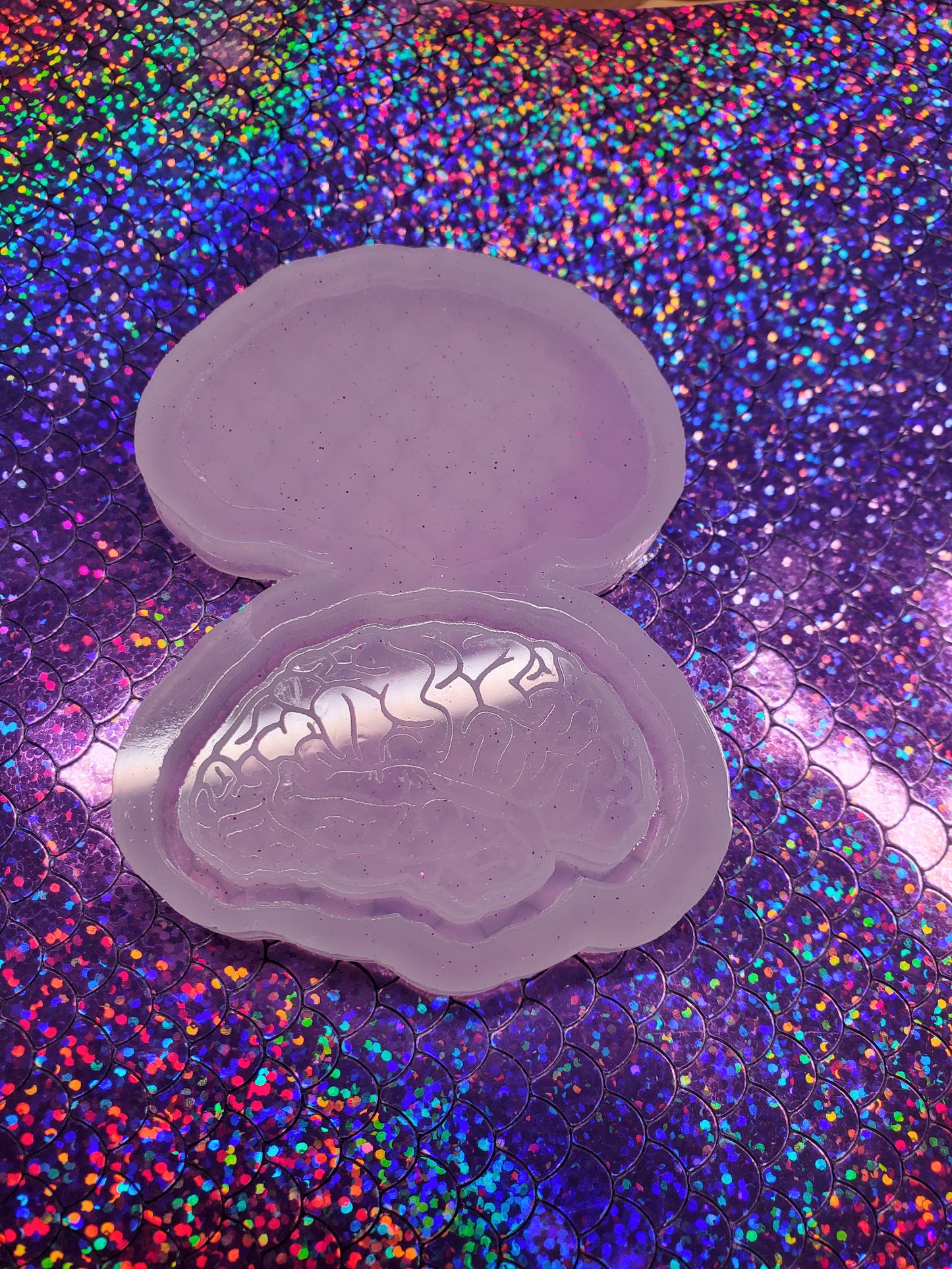 Human Brain Shaker Mold