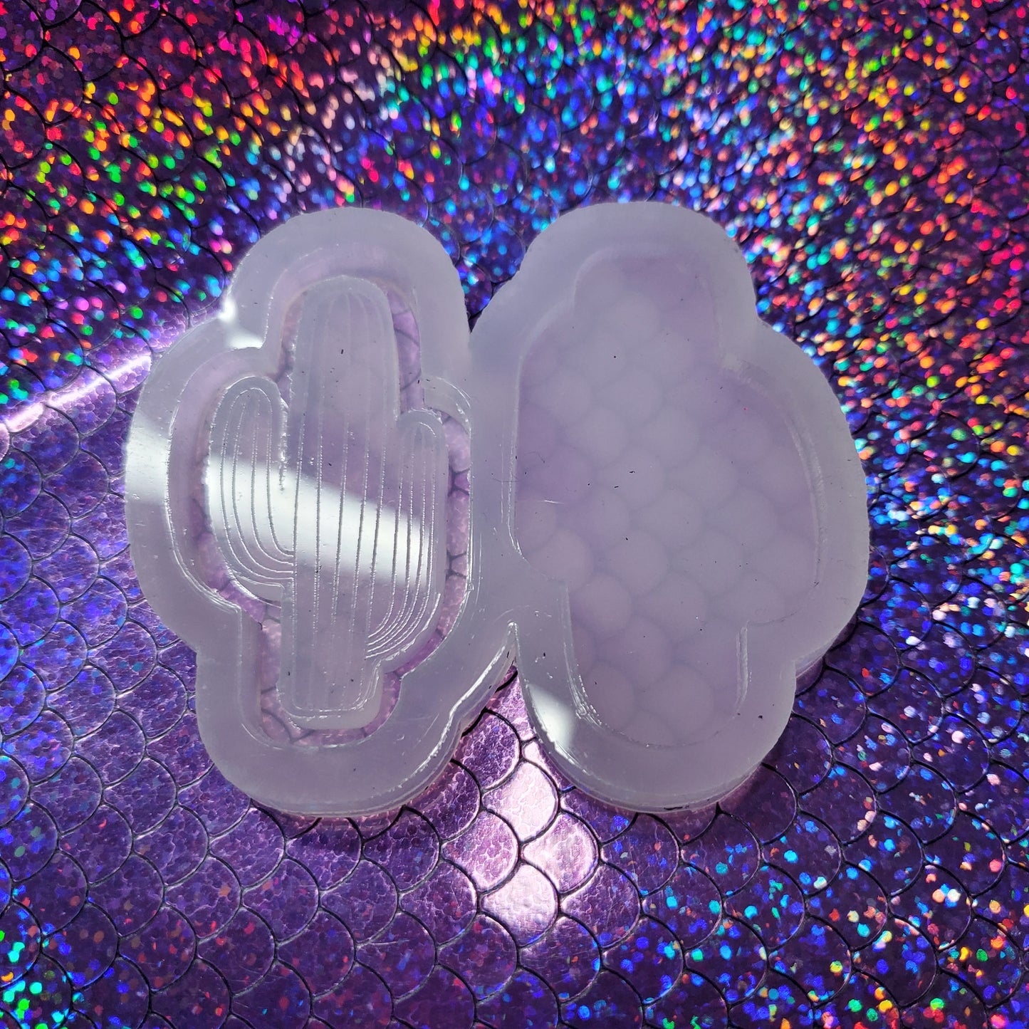 Cactus Shaker Mold