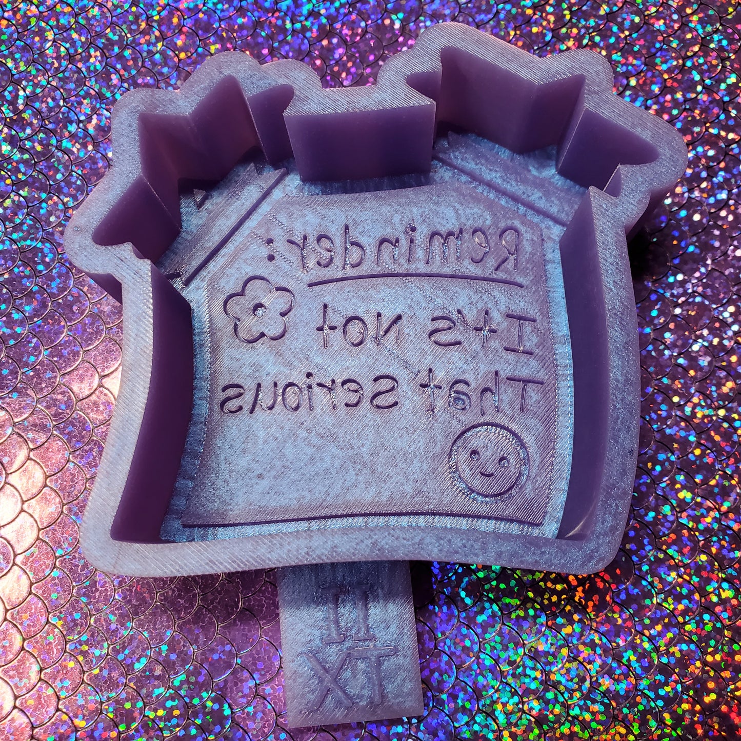 Reminder, It's Not That Serious Freshie Mold