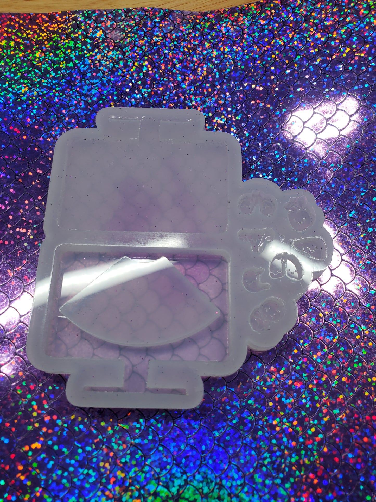 Ultrasound W/Bits Shaker Mold