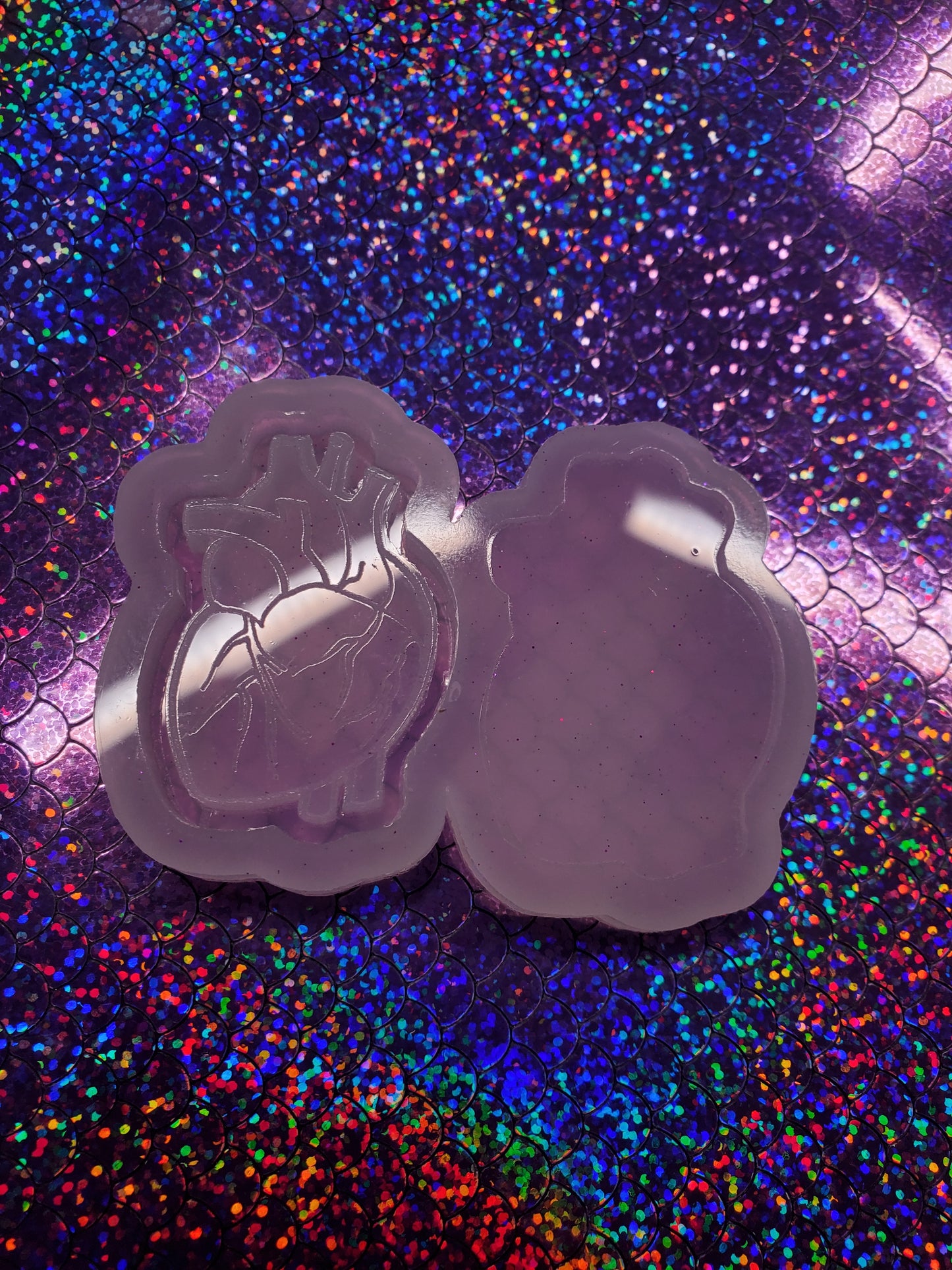Human Heart Shaker Mold