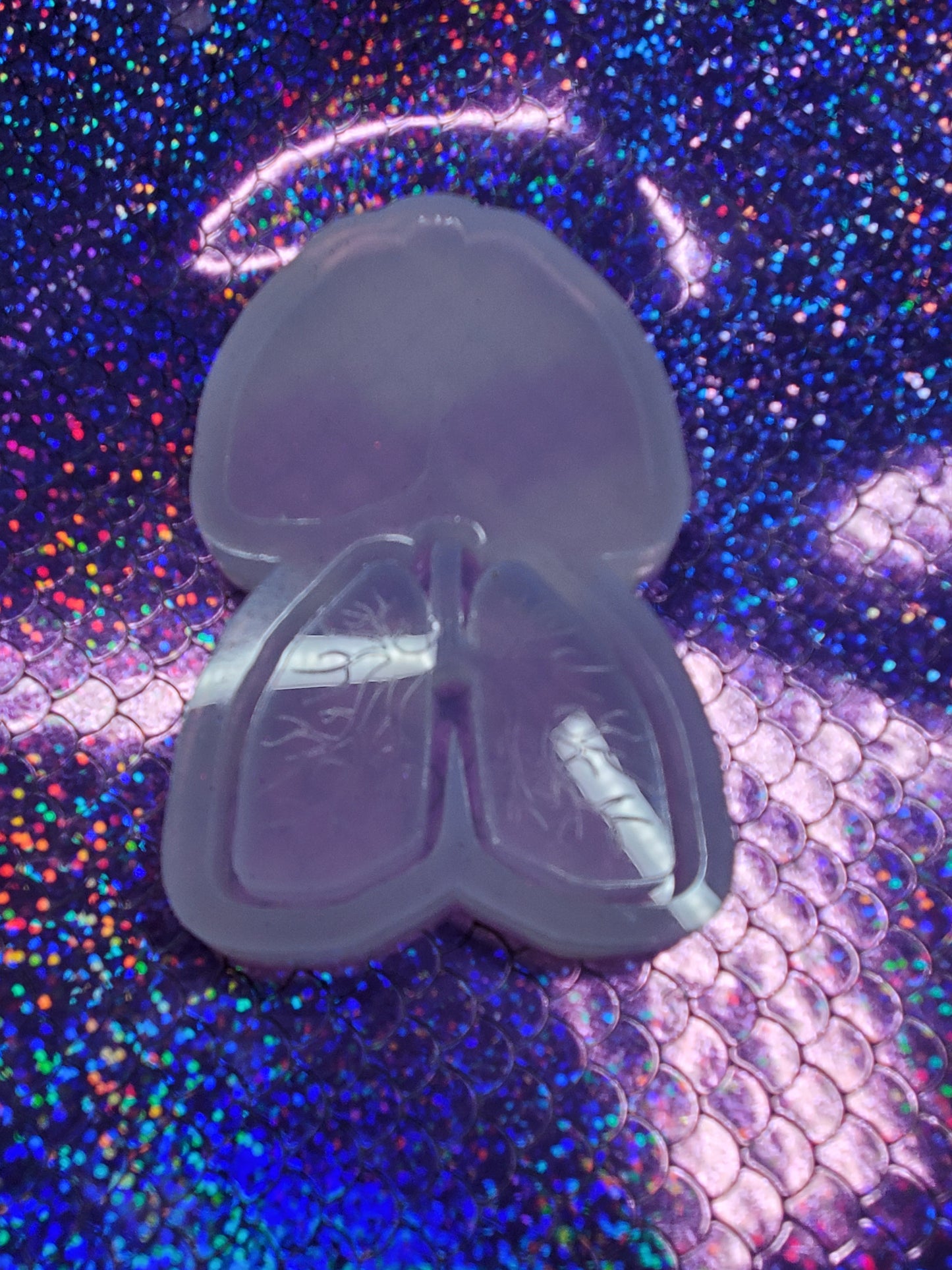 Human Anatomy Lungs Shaker Mold