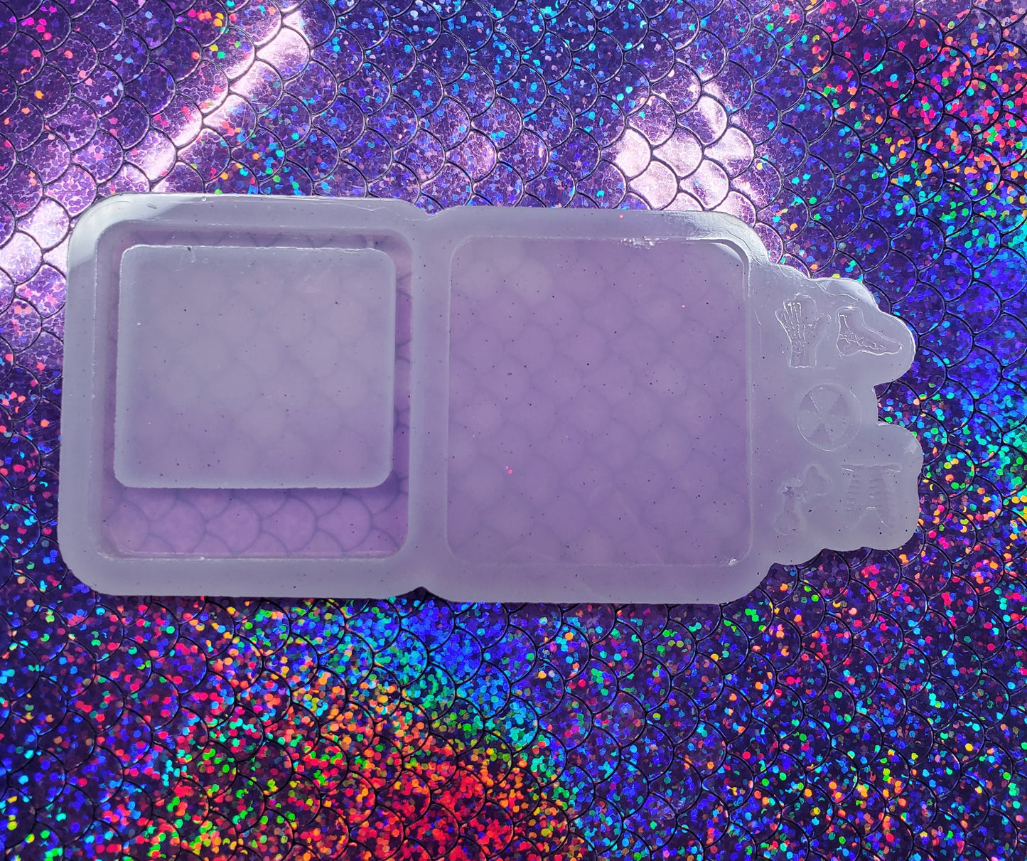 X-Ray W/Bits Shaker Mold