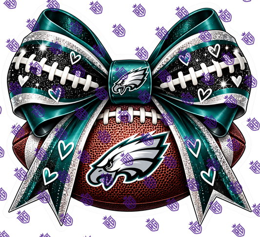 Nfl Football acrylic Blank