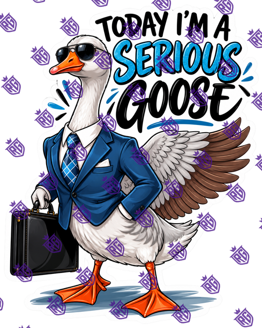 Today I'm a serious goose acrylic blank