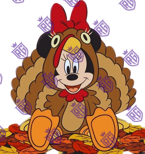 Minnie Turkey Acrylic Blank
