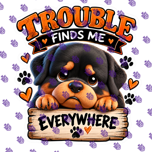 Trouble finds me everywhere acrylic blank