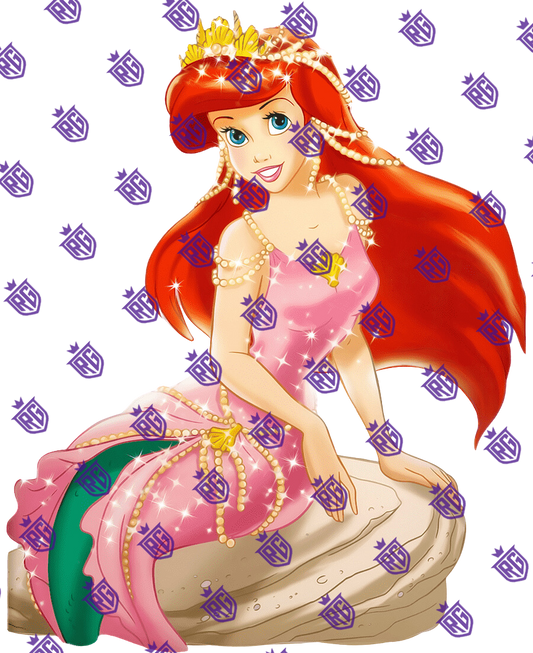 Ariel on a rock Acrylic Blank