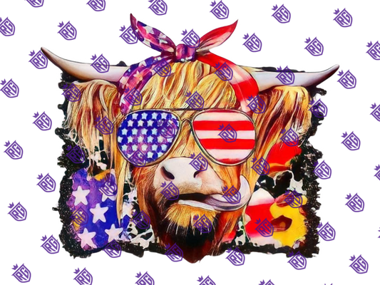 4th of july