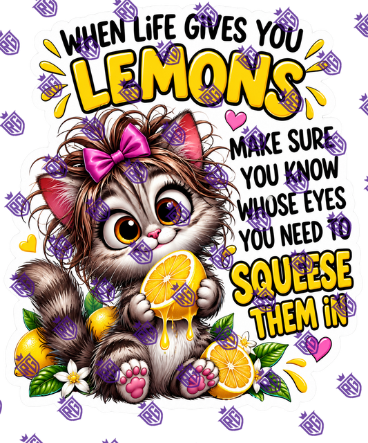 When life gives you lemons make sure you know whis eyes to squeeze them in acrylic blank