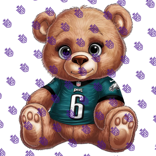 Eagles Acrylic Blank With Decals